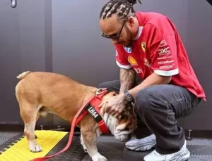 Lewis Hamilton’dan duygulandıran paylaşım: Roscoe’nun LEGO portresi hayran bıraktı